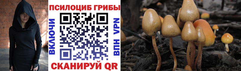 Псилоцибиновые грибы GOLDEN TEACHER  купить закладку  Пугачёв 